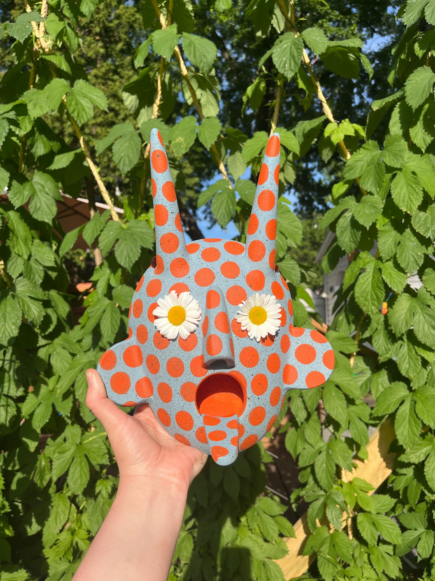 BIRDFEEDER CREEPER