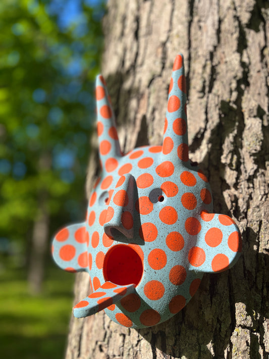 BIRDFEEDER CREEPER